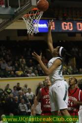 Jasmin Holliday basket, UO 54 - EW 32